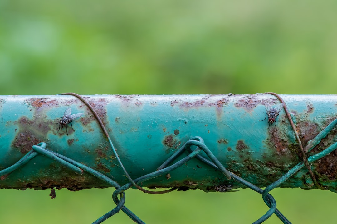 Turning Blog Posts into Pipelines: Content That Drives Conversions, Not Just Traffic (2025-12-14-2000) - Eikeland SEO