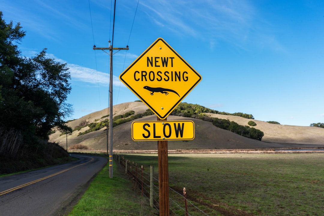 Turning Blog Posts into Pipelines: Content That Drives Conversions, Not Just Traffic (2026-01-19-2000) - Eikeland SEO